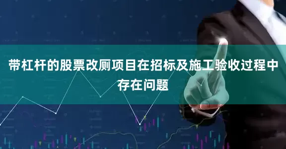 带杠杆的股票改厕项目在招标及施工验收过程中存在问题
