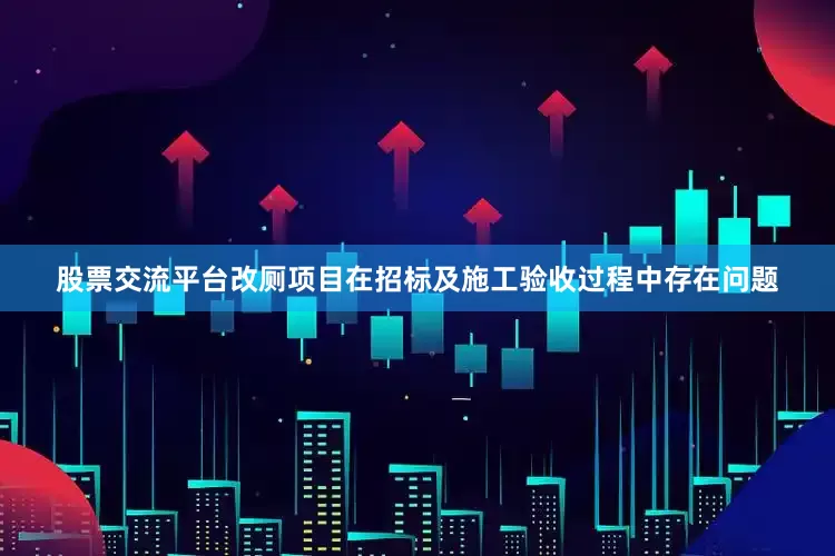 股票交流平台改厕项目在招标及施工验收过程中存在问题