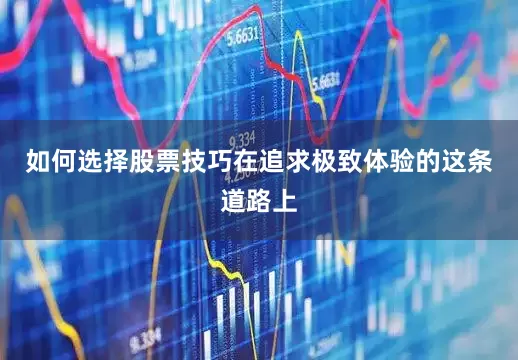 如何选择股票技巧在追求极致体验的这条道路上