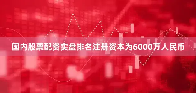国内股票配资实盘排名注册资本为6000万人民币