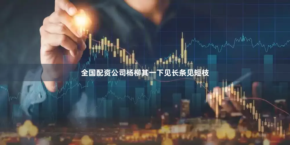 全国配资公司杨柳其一下见长条见短枝