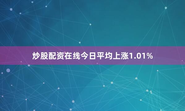 炒股配资在线今日平均上涨1.01%