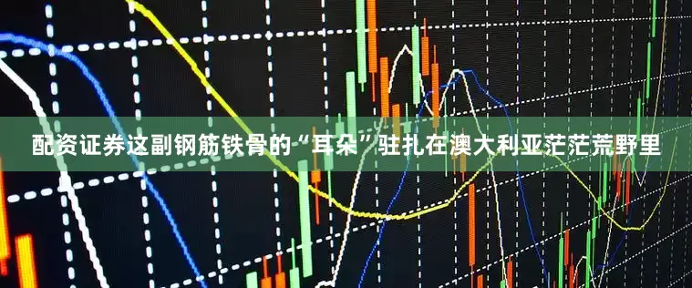 配资证券这副钢筋铁骨的“耳朵”驻扎在澳大利亚茫茫荒野里