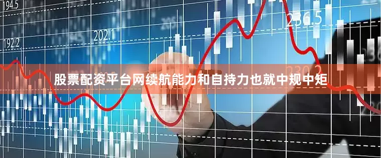 股票配资平台网续航能力和自持力也就中规中矩