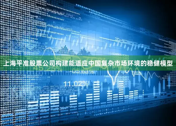 上海平准股票公司构建能适应中国复杂市场环境的稳健模型
